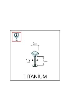 %100 G23 Titanyum Zirkon Tek Taşlı Pırlanta Model Kıkırdak Conch Tragus Labret Piercing Gümüş