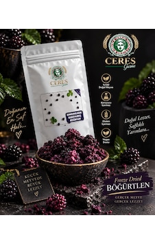 Dondurularak Kurutulmuş Böğürtlen 20 G Dondurularak Kurutulmuş Böğürtlen 20 G