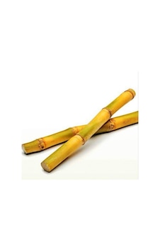 Y-Karides Yuvası Ve Üretim Kamışı 5 Ad 8 CM Y-Karides Yuvası Ve Üretim Kamışı 5 Ad 8 CM