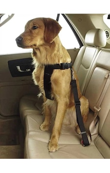 Evcil Hayvan Araç Emniyet Kemeri Kedi Köpek Araba Oto Tasması Oto Aksesuarları Siyah Çok Renkli