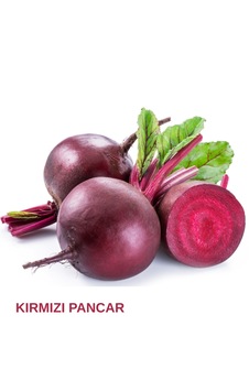 Kırmızı Pancar Tohumu 20 Gr. 20 Gr. Kırmızı Pancar Tohumu 20 Gr. 20 Gr.