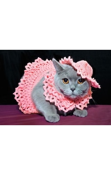 Busako Cat Pembe Özel Tasarım Kedi Kıyafeti Busako Cat Pembe Özel Tasarım Kedi Kıyafeti