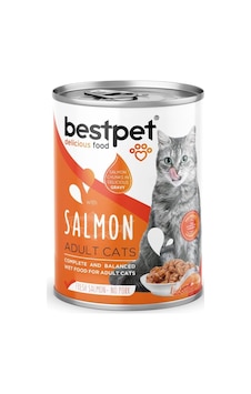 Kısırlaştırılmış Kediler İçin, Taze Somon Parça Etli Ve Soslu Yaş Mama, 400 G X 12 Adet Kısırlaştırılmış Kediler İçin, Taze Somon Parça Etli Ve Soslu Yaş Mama, 400 G X 12 Adet