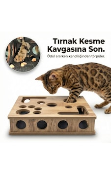 Kedikür Tırnak Törpüleyen Tırmalama Ve Oyun Kutusu