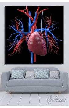 Duvar Tablosu Kare Kanvas Bypass Kalp Anatomisi Aort Damar Cerrahı Kardiyoloji 3d Çok Renkli Duvar Tablosu Kare Kanvas Bypass Kalp Anatomisi Aort Damar Cerrahı Kardiyoloji 3d Çok Renkli