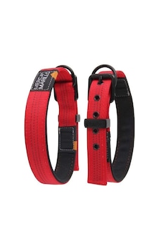 Nunbell Desenli Köpek Boyun Tasması Siyah 32-40 Cm Diğer Nunbell Desenli Köpek Boyun Tasması Siyah 32-40 Cm Diğer