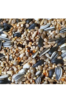 Sultan. Cennet ve Sevda Papağanı Yemi 1 KG
