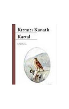 Kırmızı Kanatlı Kartal - Refik Durbaş - Kök Yayıncılık