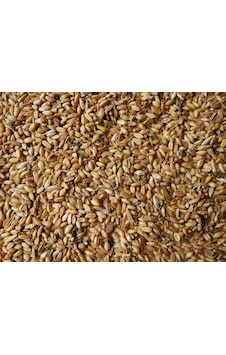 Akderepet Esmer Buğday Yemi 1 KG Akderepet Esmer Buğday Yemi 1 KG