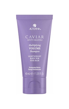Alterna Caviar Hacim Arttıran Saç Bakım Şampuanı 40ml 873509027638 Alterna Caviar Hacim Arttıran Saç Bakım Şampuanı 40ml 873509027638