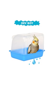 Dev Boy Sultan Papağanı Jako Papağanı Banyosu Kuş Banyoluk 20x25cm