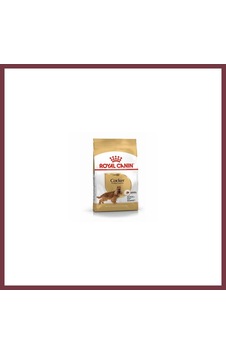 Storeşahin Cocker Spaniel Adult Yetişkin Köpek Maması 3 Kg Shn0720 Storeşahin Cocker Spaniel Adult Yetişkin Köpek Maması 3 Kg Shn0720