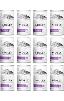 Molly Hindi Ve Ördekli Pate Ezme Kedi Konservesi 395 G X 12 Adet Molly Hindi Ve Ördekli Pate Ezme Kedi Konservesi 395 G X 12 Adet