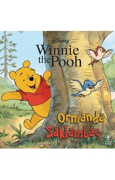 Disney Winnie The Pooh - Ormanda Saklambaç Doğan Çocuk