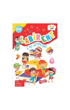 Labirent Çalışmaları