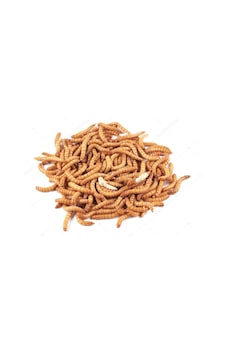 Un Kurdu 2-3 Cm Boy Net: 500 Gr 5000 Adet Un Kurdu 2-3 Cm Boy Net: 500 Gr 5000 Adet