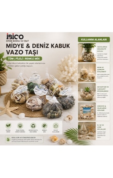 Lunaev 20 Adet Fileli Renkli Mix Eko Midye - Deniz Kabuk Vazo Taşı 15cm Lunaev 20 Adet Fileli Renkli Mix Eko Midye - Deniz Kabuk Vazo Taşı 15cm