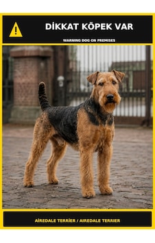 Dikkat Köpek Var Airedale Terrier Görselli Pvc Uyarı Levhası 21x30cm Dikkat Köpek Var Airedale Terrier Görselli Pvc Uyarı Levhası 21x30cm