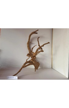 Yati Kökü No:101 25x30x40h Yati Kökü No:101 25x30x40h
