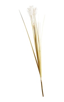 Pasabahce Bulrush 119 Cm Krem - 1 Adet