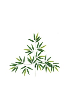 Yapay Çiçek Deposu Yapay Kaliteli Bambu Yaprağı Dalı 57 Cm Islak Dokulu Yapay Çiçek Deposu Yapay Kaliteli Bambu Yaprağı Dalı 57 Cm Islak Dokulu