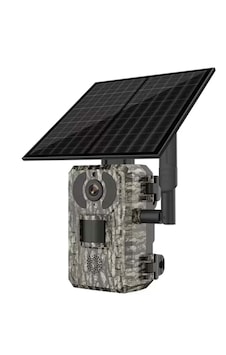 Inox 222 4mp 3.6mm 2560 1440 4g/gprs Ip65 Ip Solar Panelli Foto Inox 222 4mp 3.6mm 2560 1440 4g/gprs Ip65 Ip Solar Panelli Foto