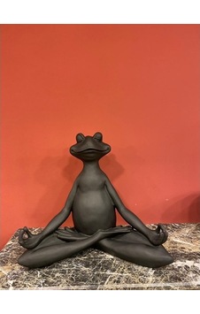Yogacı Kurbağa-Hf189-2