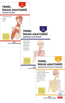 Temel Anatomi Seti 3lü Temel Anatomi Seti 3lü