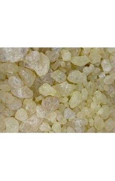 Aktar Store Sandaloz Sakızı 250 G