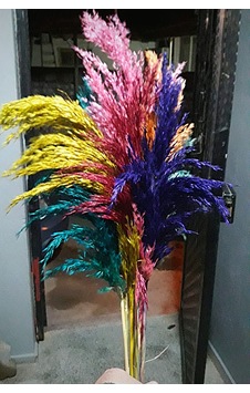 Dekoratif Şoklanmış 15'li Pampas Otu Karışık Renk 100 Cm Çok Renkli Dekoratif Şoklanmış 15'li Pampas Otu Karışık Renk 100 Cm Çok Renkli