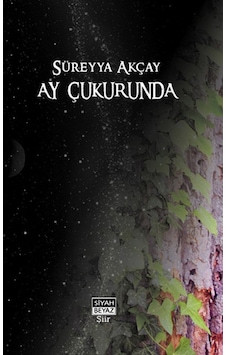 Ay Çukurunda (imzalı) Ay Çukurunda (imzalı)