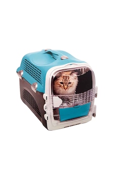 Catit Cabrio Kedi Taşıma Kabı 51 x 33 x 35 CM
