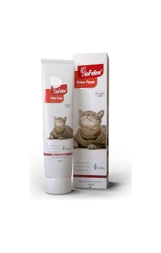 Biofeline Relax Doğal Sakinleştirici Paste 100 G Biofeline Relax Doğal Sakinleştirici Paste 100 G