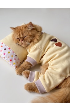 Winter Hearts Kedi Uyku Seti Penye Kedi Tulum Ve Mini Yastık Takımı Pamuklu Tüy Dökülmesini Azaltır