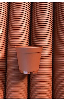 Kaktüs Sukulent Saksısı 20 Adet (5.5 Cm - Kahverengi) Kaktüs Sukulent Saksısı 20 Adet (5.5 Cm - Kahverengi)