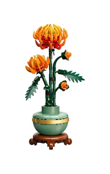 Northcity Icons Krizantem 10368 Bx Standart