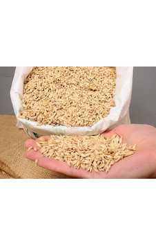 Kastamonu Siyez Buğdayı 1 KG Kastamonu Siyez Buğdayı 1 KG