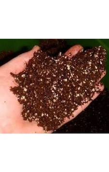 5 Litre Torf Toprak Perlit Karışımlı Torf Çiçek Toprağı Saksı Toprağı Torf Bitki Toprağı.. 5 Litre Torf Toprak Perlit Karışımlı Torf Çiçek Toprağı Saksı Toprağı Torf Bitki Toprağı..