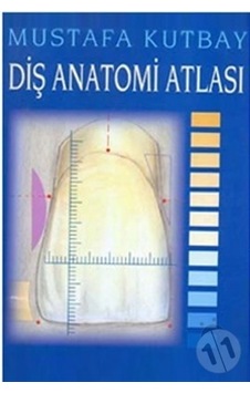 Diş Anatomisi Atlası Palme Yayınevi Diş Anatomisi Atlası Palme Yayınevi