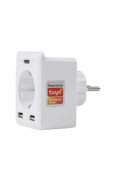 S-Link Swapp Sl-04 Çift Usb'Li 2.4Ghz 10 Amper Wifi Tuya Destekli