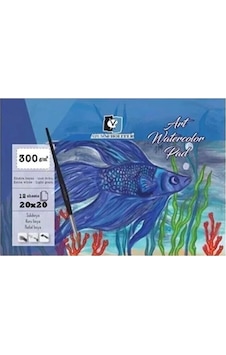 Art Sulu Boya DF.ALX-8844 ALX.20 x 20 300 G 12'li