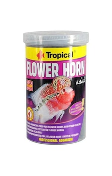 Tropical Flowerhorn Adult Kovadan Bölme 100 G Tropical Flowerhorn Adult Kovadan Bölme 100 G