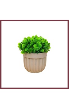 Storeşahin 5791 Çizgili Saksıda Büyük Top Çiçek 1 Adet Shn0720 Çok Renkli Storeşahin 5791 Çizgili Saksıda Büyük Top Çiçek 1 Adet Shn0720 Çok Renkli