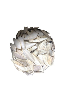 Kalamar Kemiği 500 Gr Kırık Irili Ufaklı