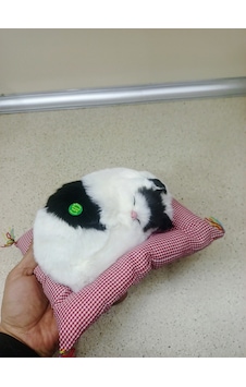 Miyavlayan Minderli Kedi Çok Renkli Miyavlayan Minderli Kedi Çok Renkli