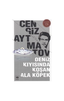 Deniz Kıyısında Koşan Ala Köpek - Rzır-591501 Deniz Kıyısında Koşan Ala Köpek - Rzır-591501