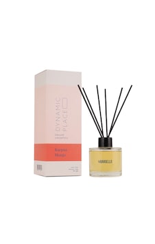 Bargello Dynamic Place Karpuz Mango Oda Kokusu 120 ML