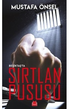 Beşiktaş'ta Sırtlan Pususu - Mustafa Önsel - Kırmızı Kedi