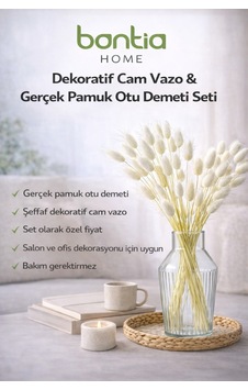 Cam Vazo + Gerçek Pamuk Otu Gerçek Pamuk Otu Demeti İle Hazır Dekor