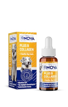 Nova Premium Plus B Collagen 50ml Sıvı Köpek Vitamini